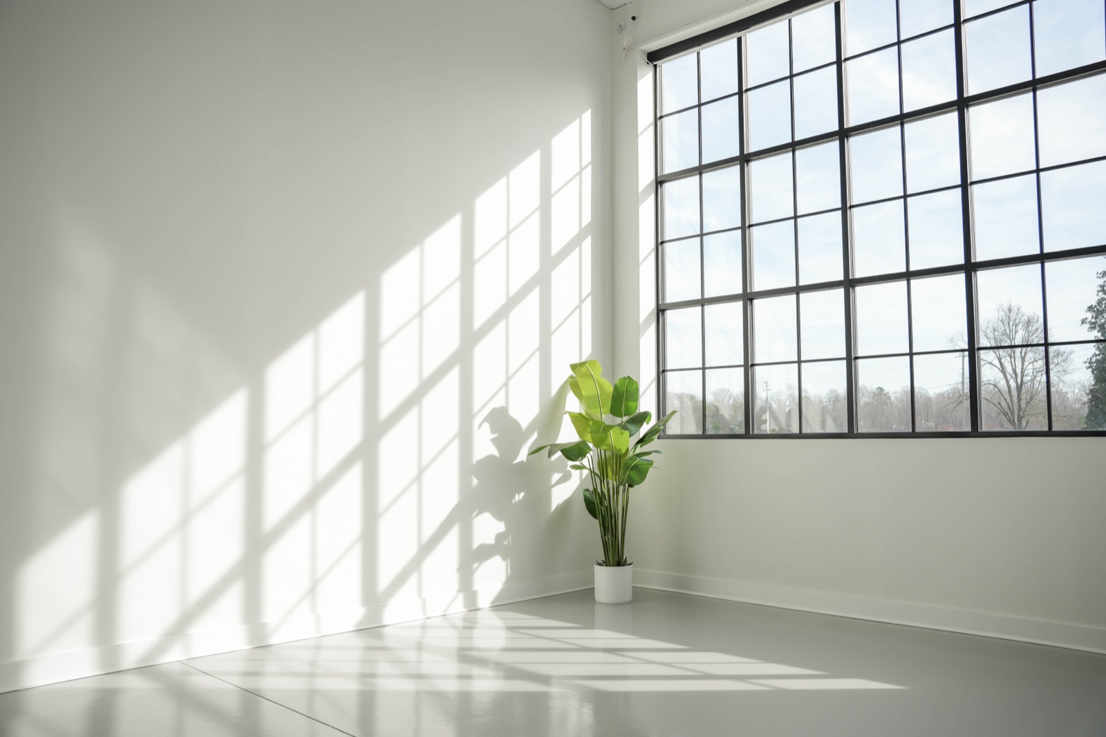 WhiteWall Studios — Natural Light Studio & Event Space in